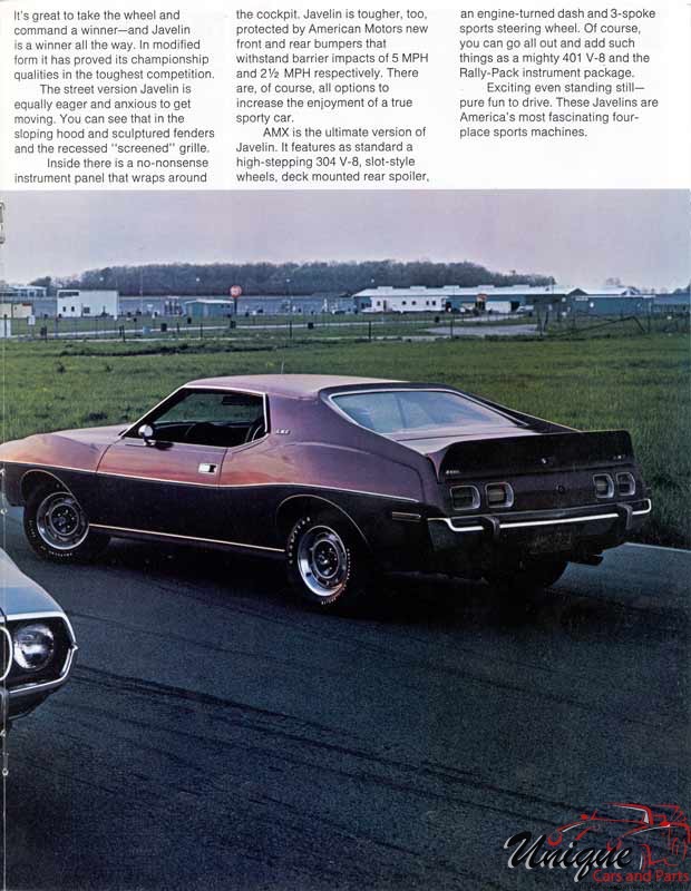 1973 American Motors Brochure Page 23